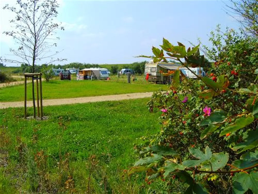 NordseeCamping zum Seehund