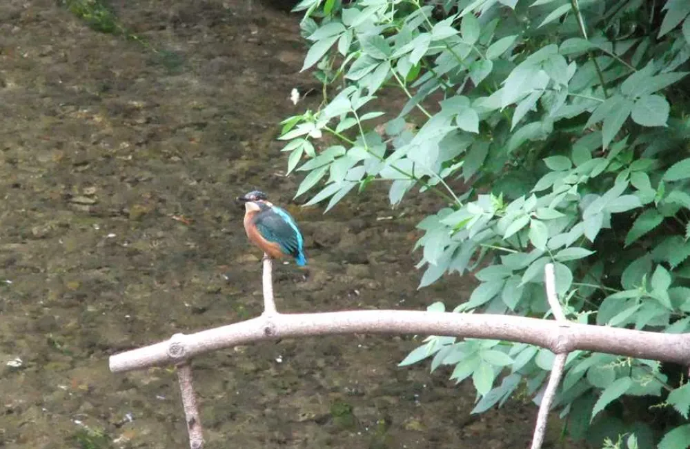 Overbrook Caravan Park