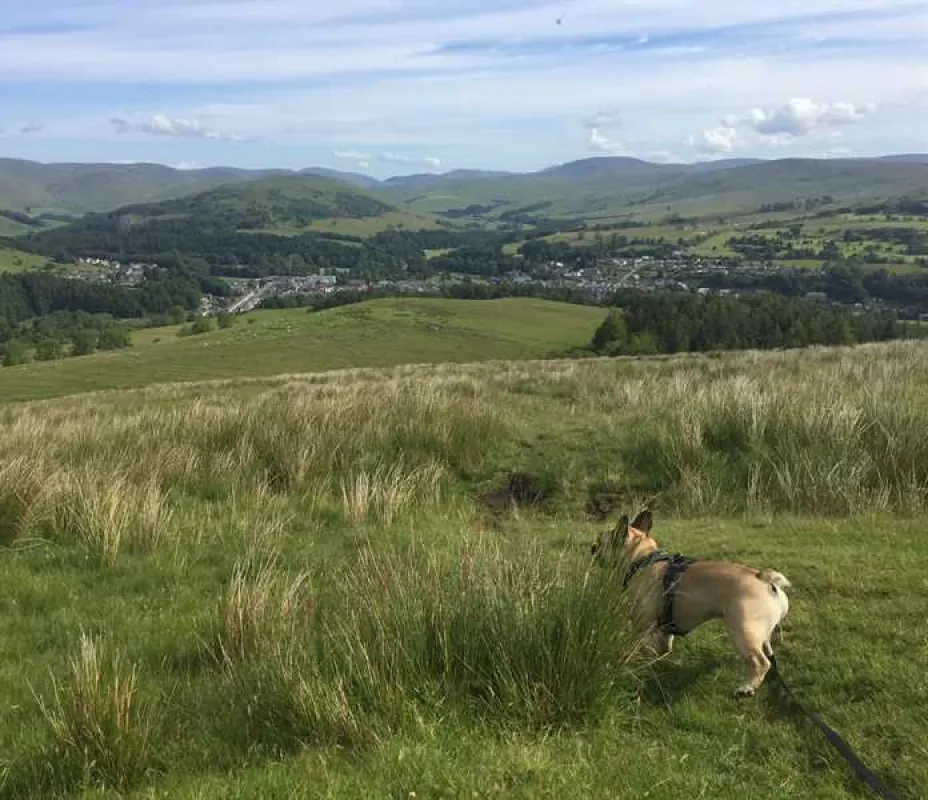 Ewes Water Caravan and Camping Park