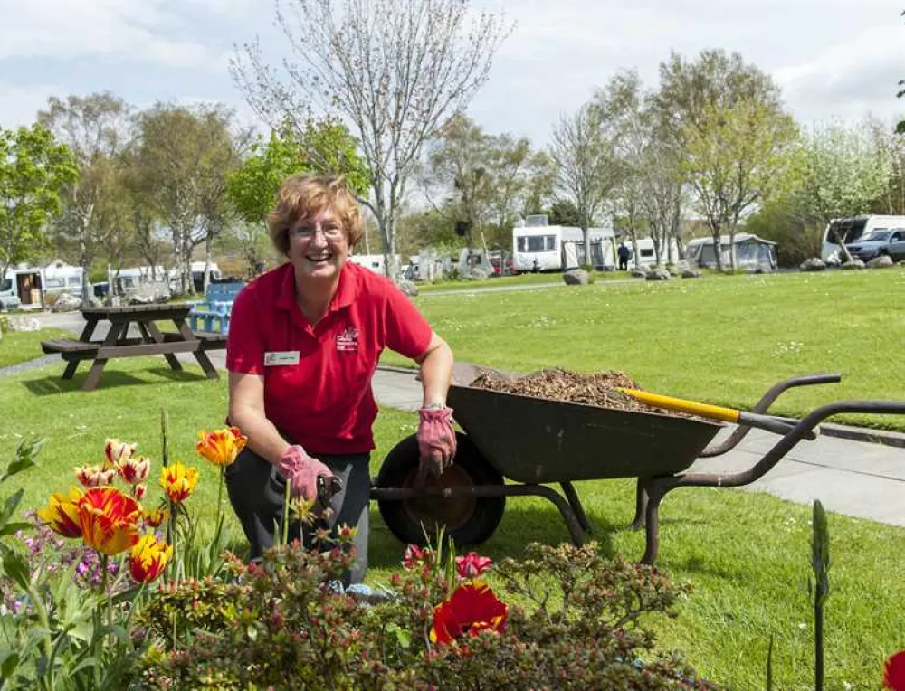 Inverewe Gardens Poolewe Camping and Caravanning Club Site