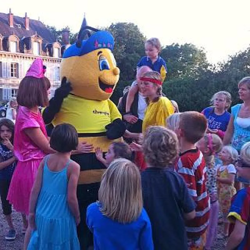 Airotel Château de Chigy