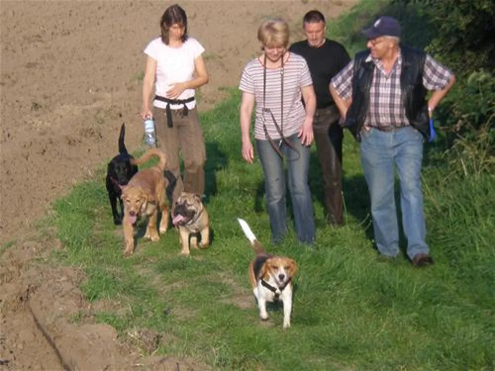 Campingplatz Sternberger Seenland