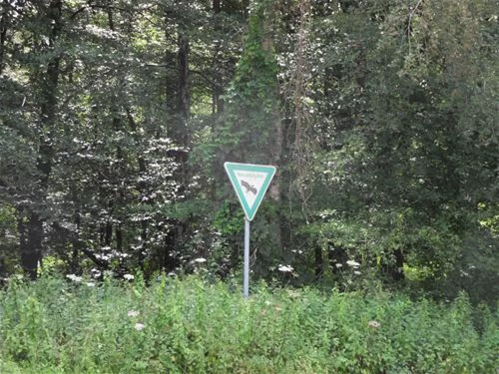 Campingplatz Lippetal