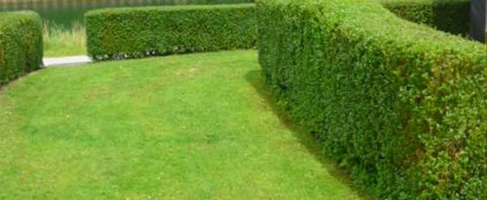 Campingplatz Lippetal