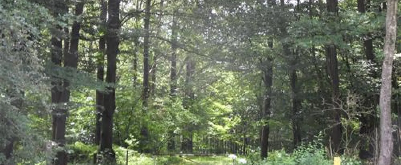 Campingplatz Lippetal