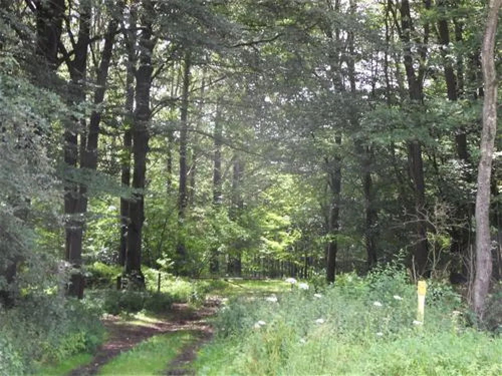 Campingplatz Lippetal