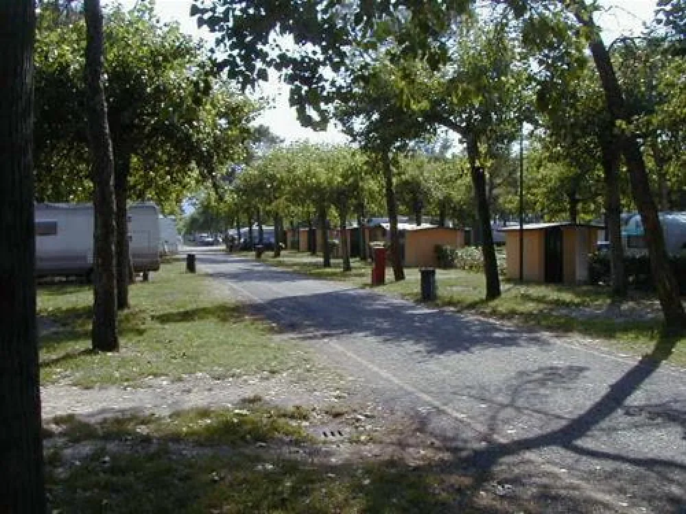Camping Sporting Center