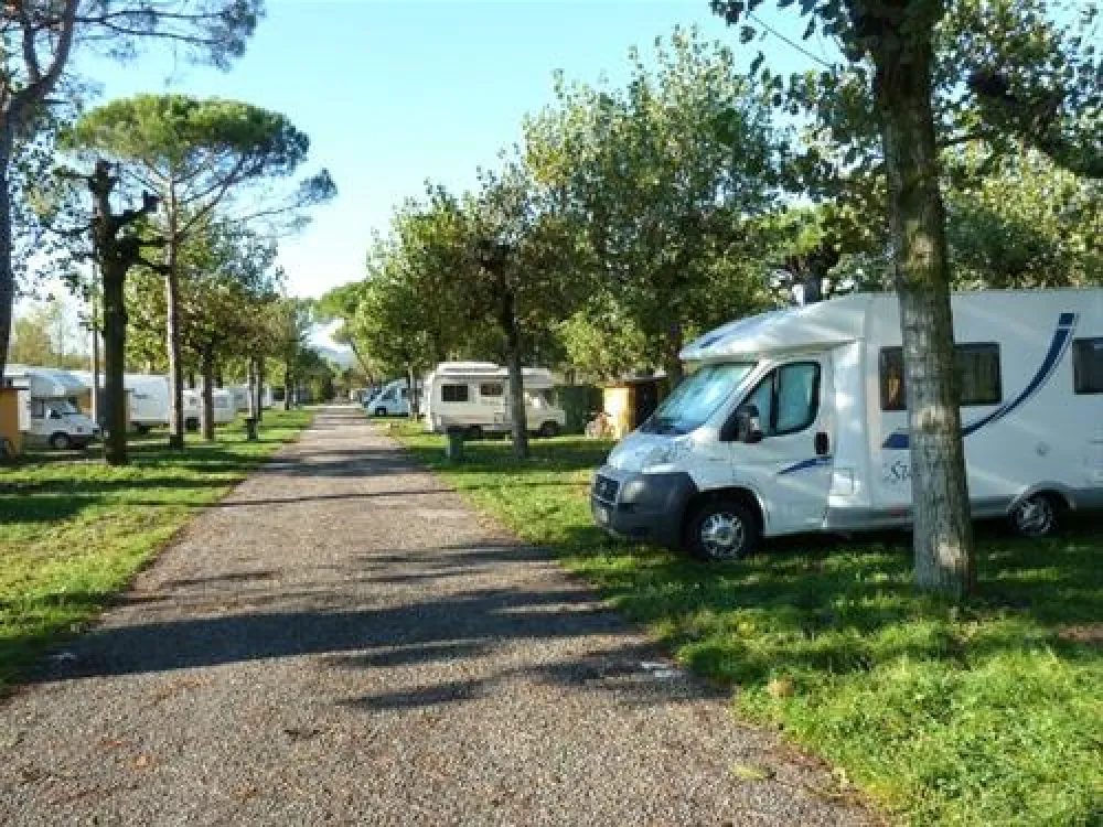 Camping Sporting Center