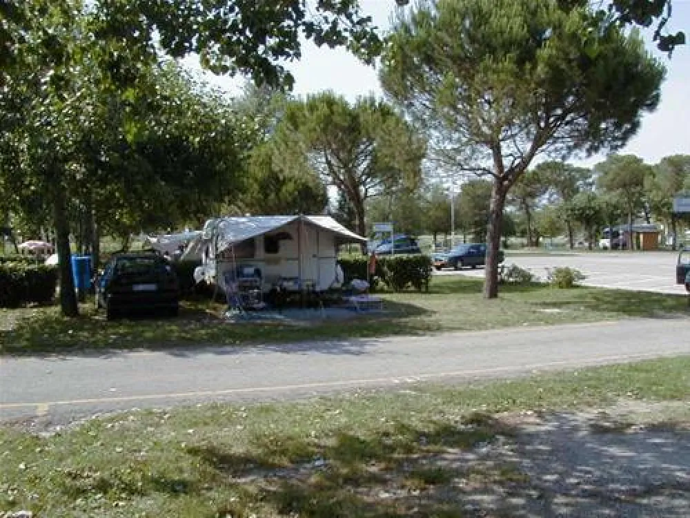 Camping Sporting Center