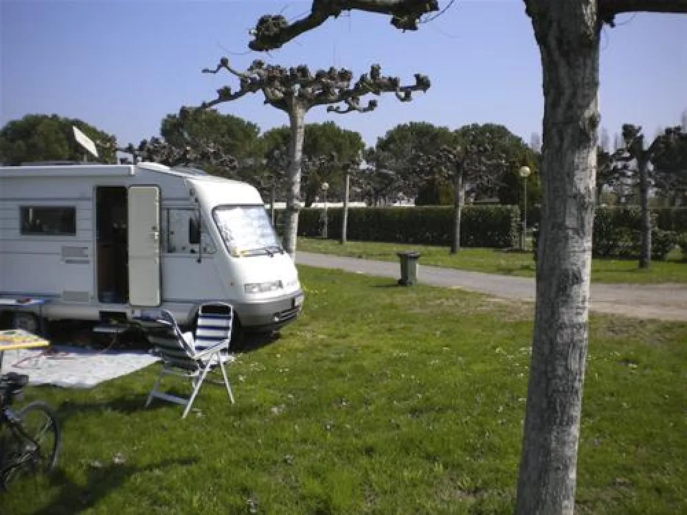 Camping Sporting Center