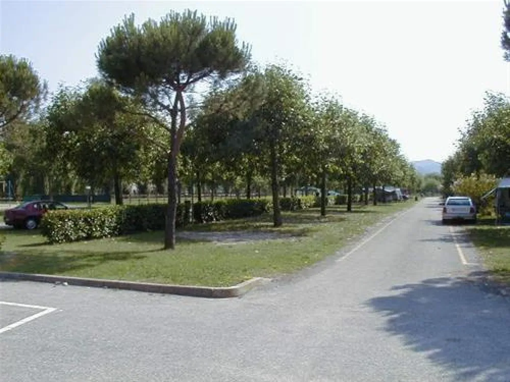 Camping Sporting Center