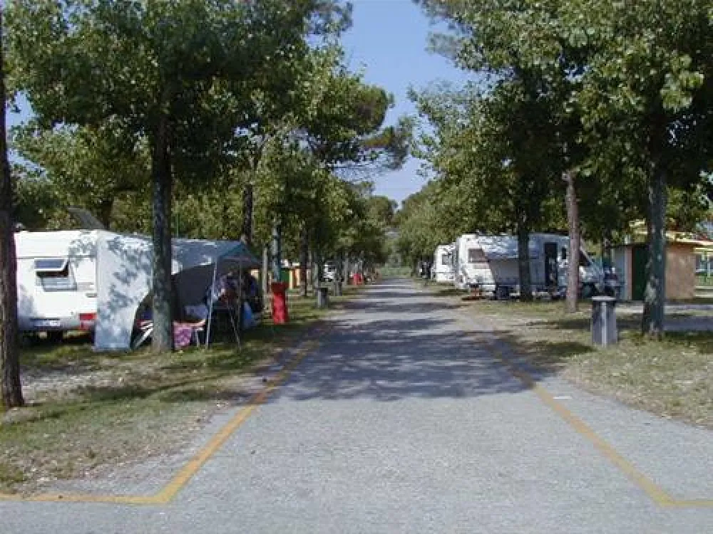 Camping Sporting Center