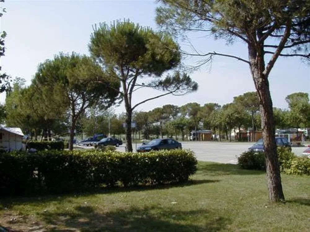 Camping Sporting Center