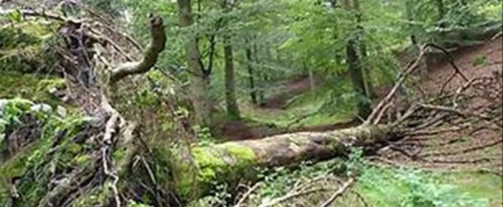 DKV-Campingplatz Edersee