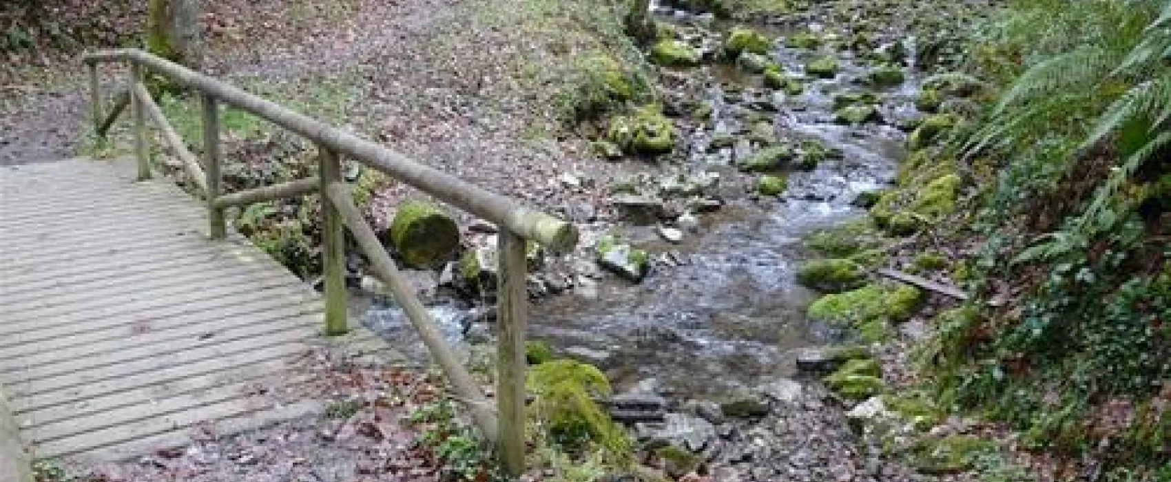 DKV-Campingplatz Edersee