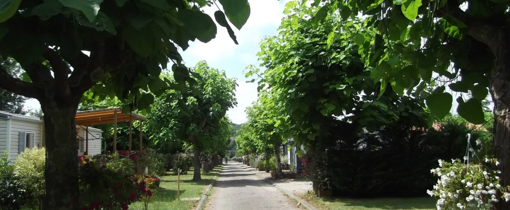 Camping De Condat - Les Catalpas