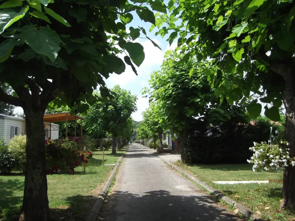 Camping De Condat - Les Catalpas