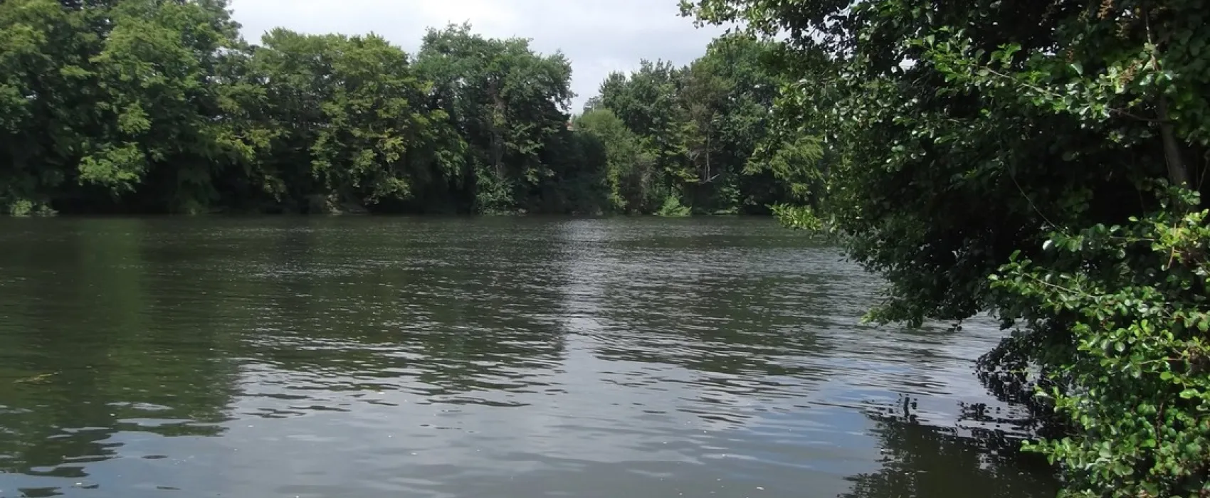 Camping De Condat - Les Catalpas