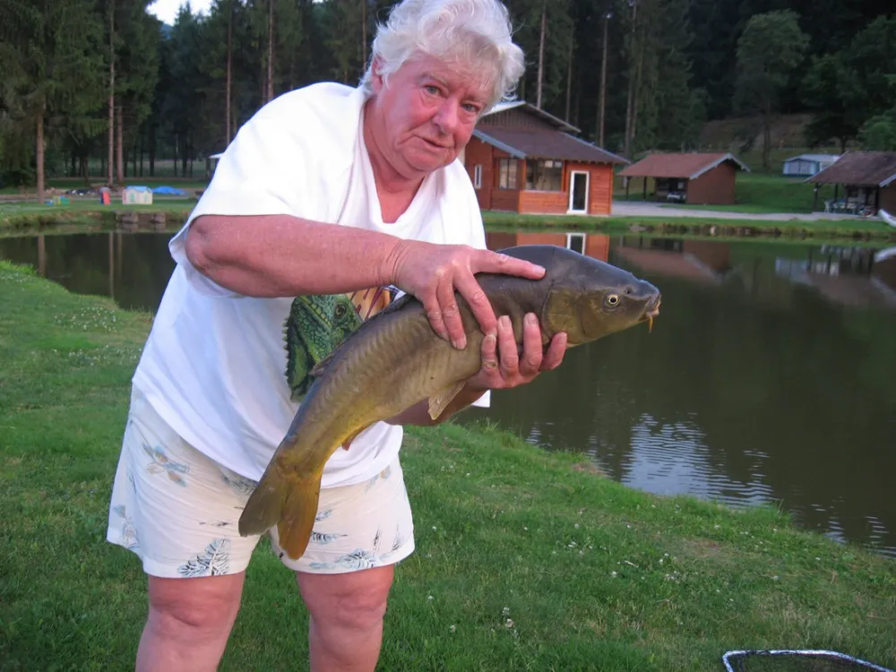 Camping De la Broche