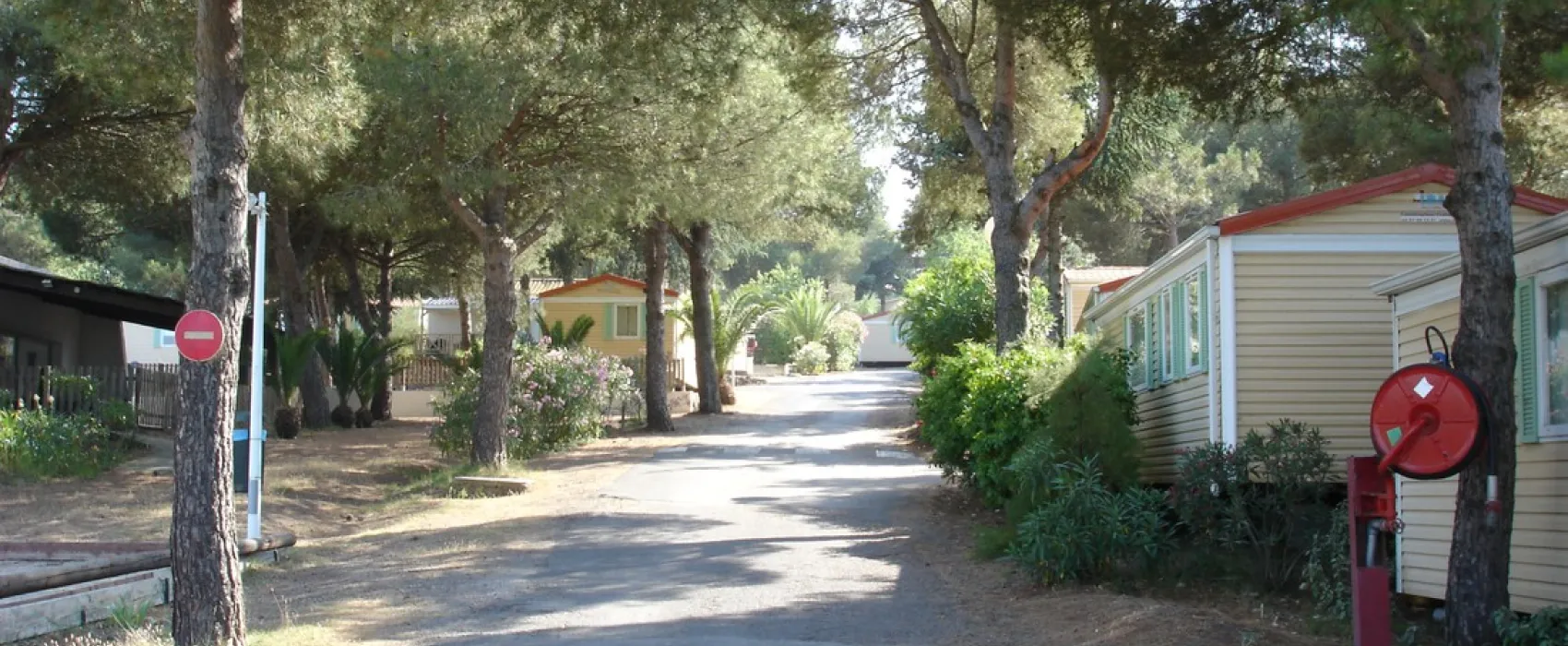 Camping Domaine De La Pinede