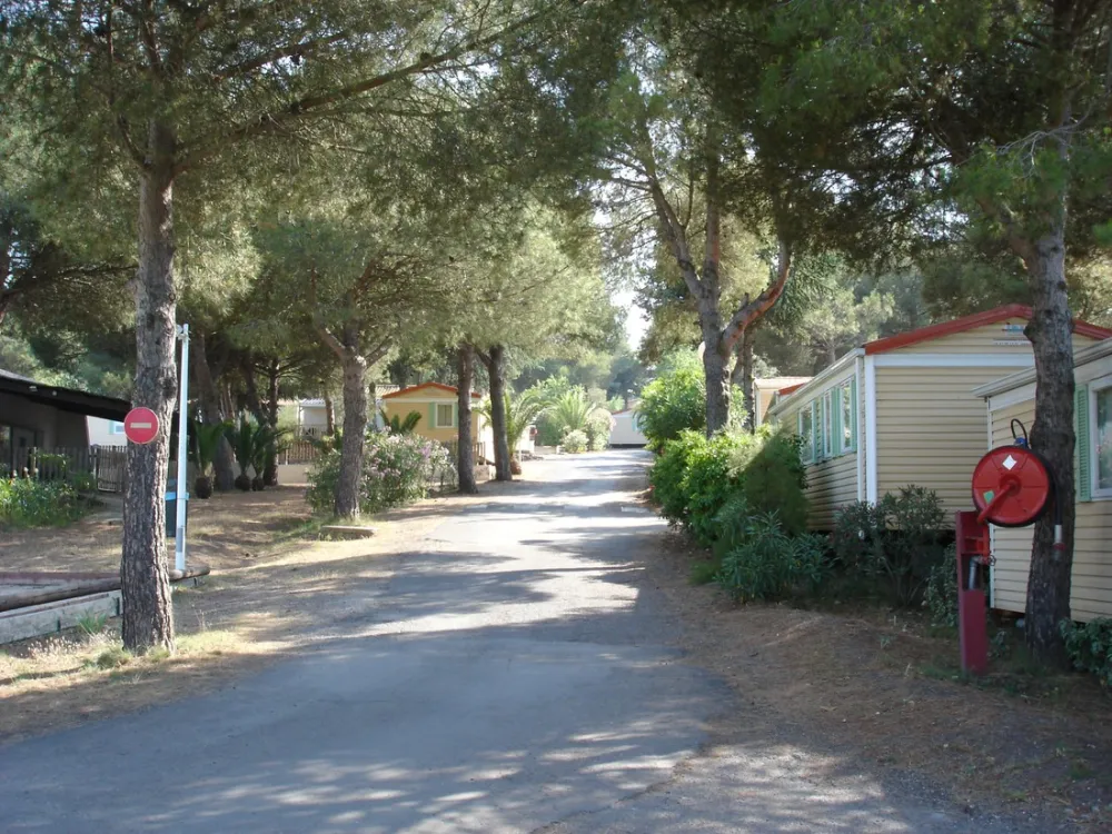 Camping Domaine De La Pinede