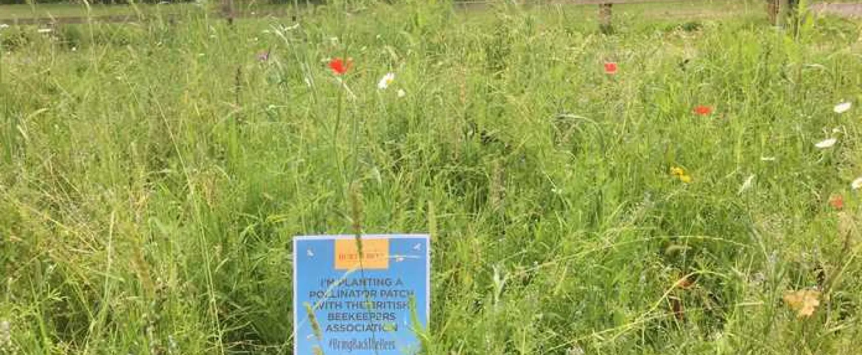 Sleningford Watermill Caravan and Camping Park