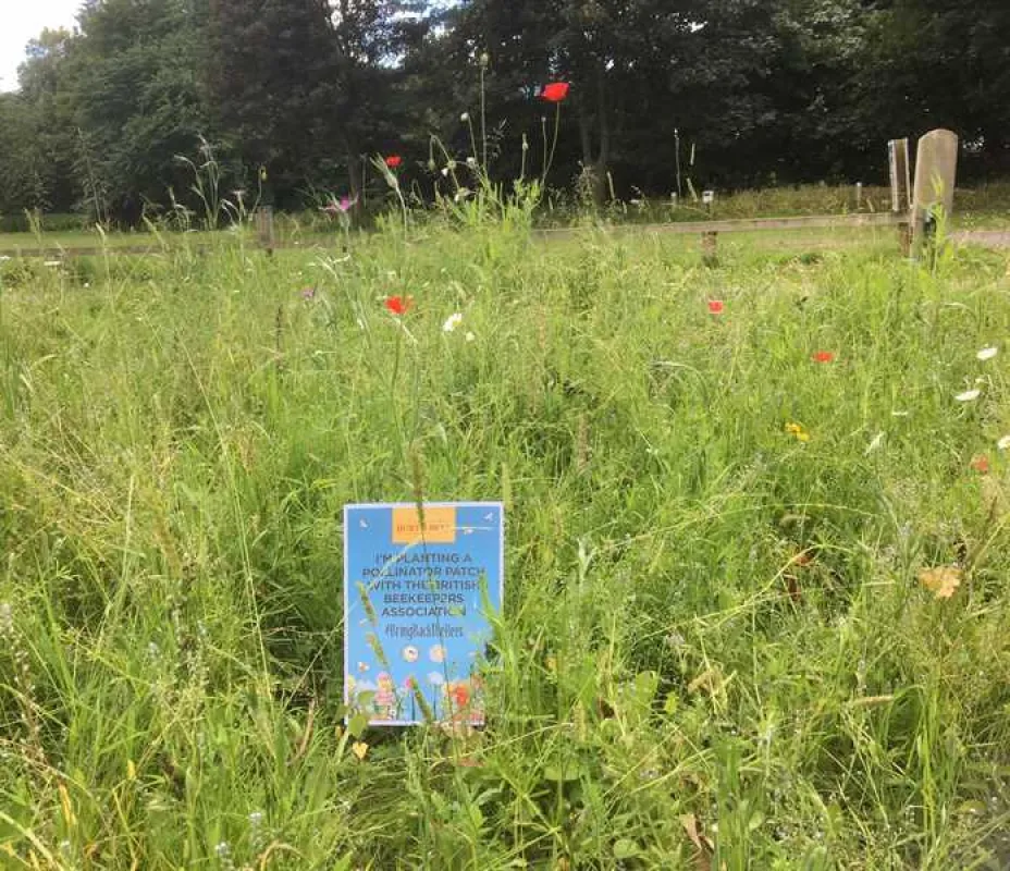 Sleningford Watermill Caravan and Camping Park