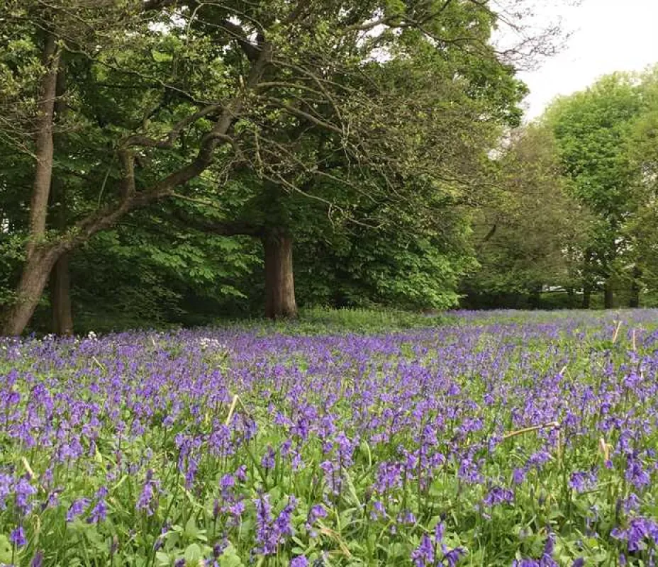 Sleningford Watermill Caravan and Camping Park