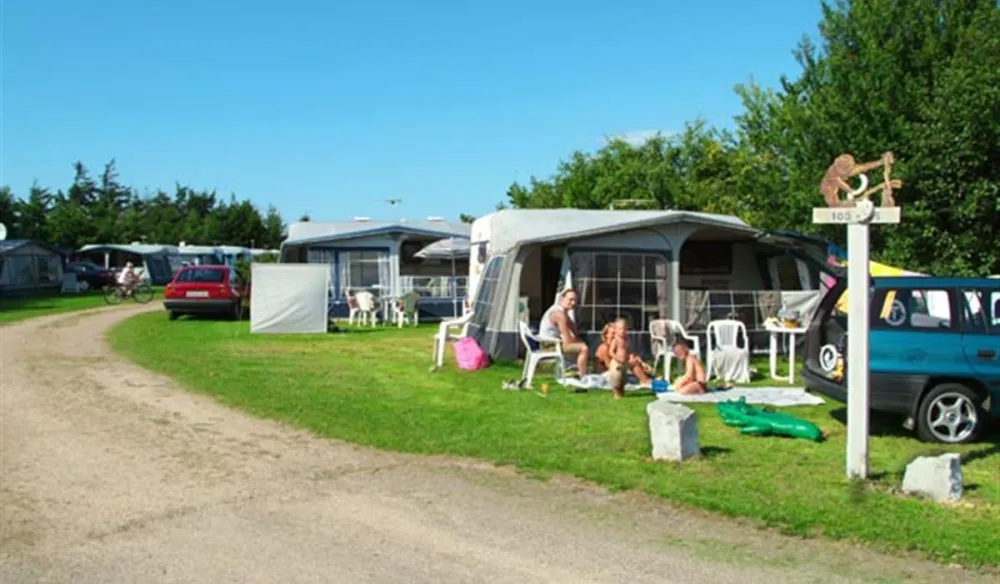 Blokhus Klit Camping