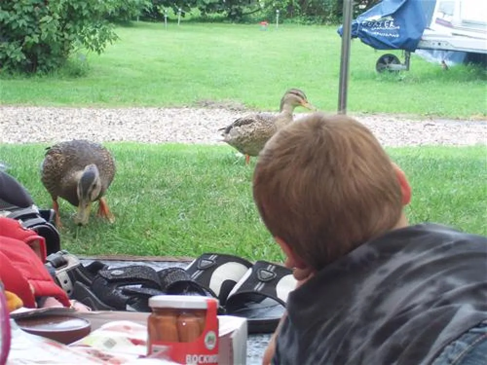 Camping De Grienduil