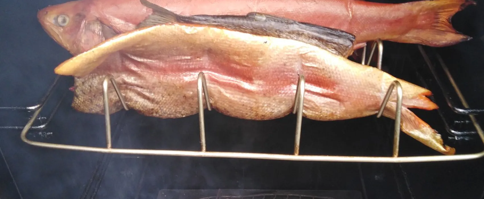 Camping Heilhauser Mühle