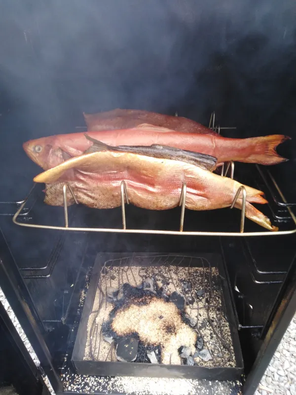 Camping Heilhauser Mühle