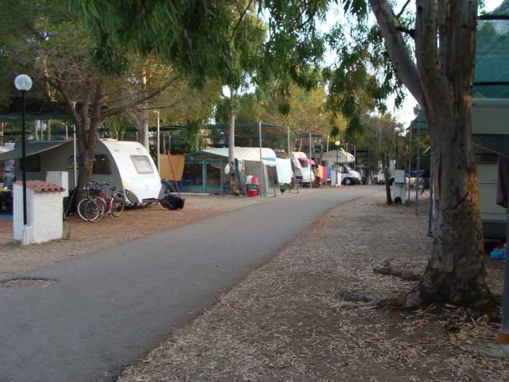 Camping Pedra - Cupa