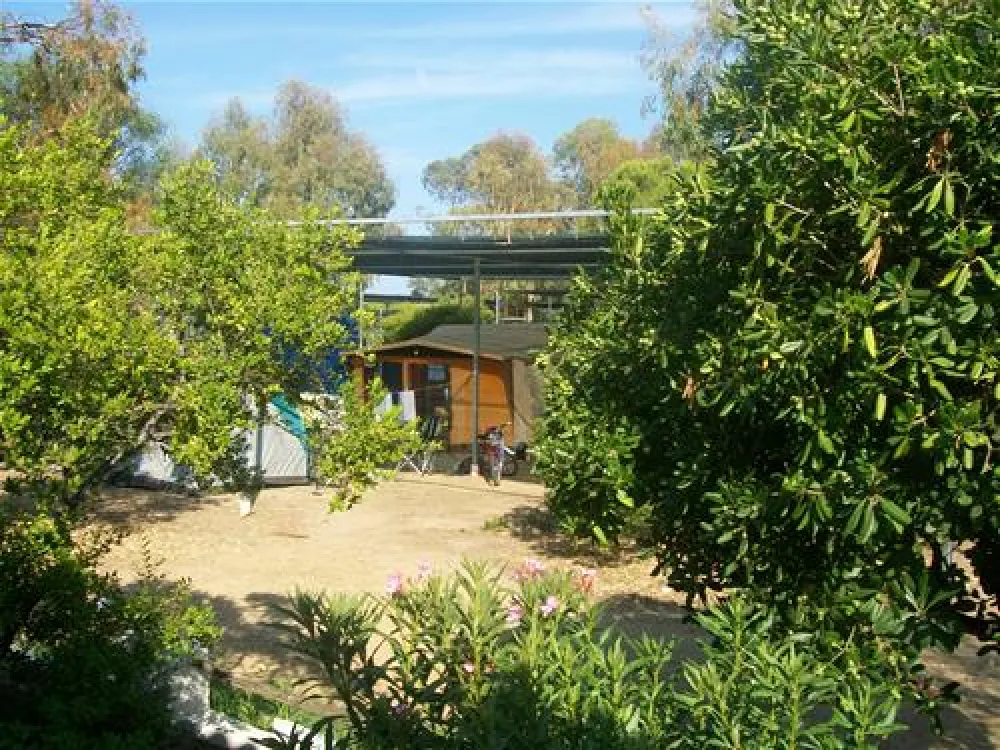 Camping Pedra - Cupa