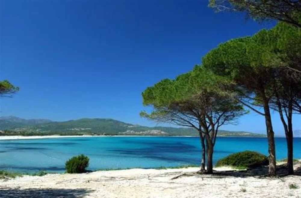 Camping Pedra - Cupa