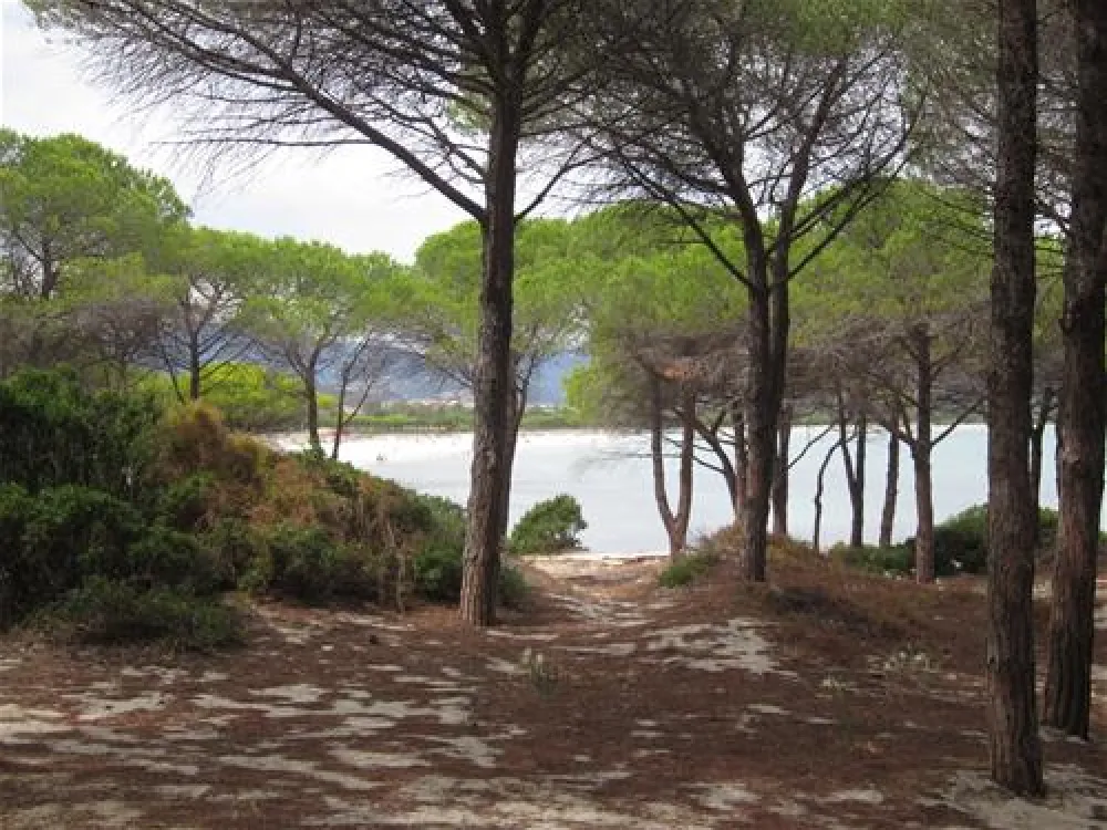 Camping Pedra - Cupa