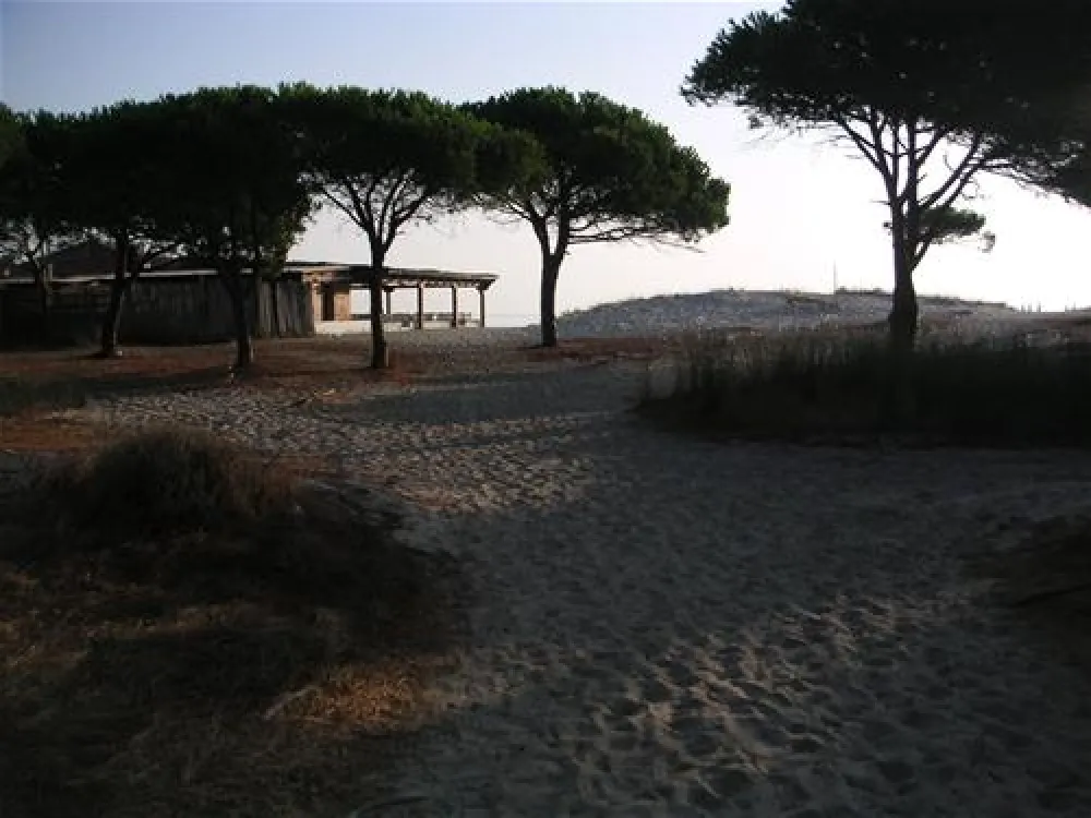 Camping Pedra - Cupa