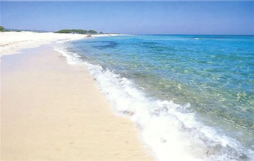 Camping Pedra - Cupa