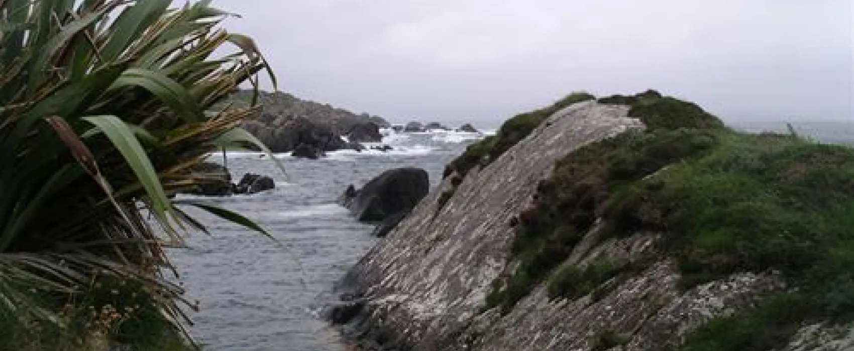 Wave Crest Caravan Park