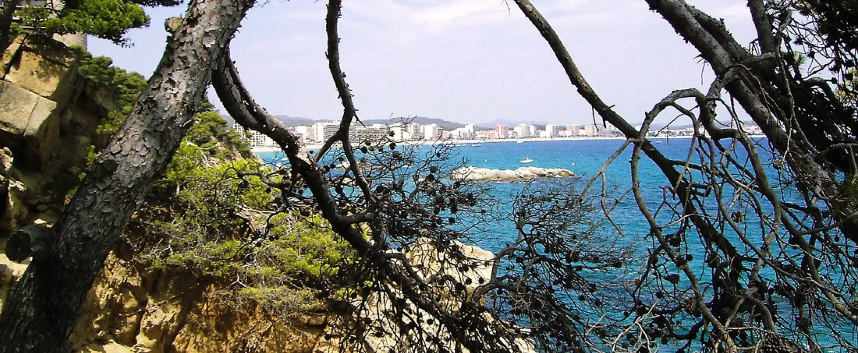 Camping Castell Park