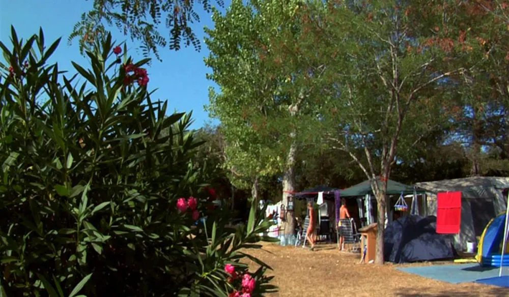 Camping Castell Park