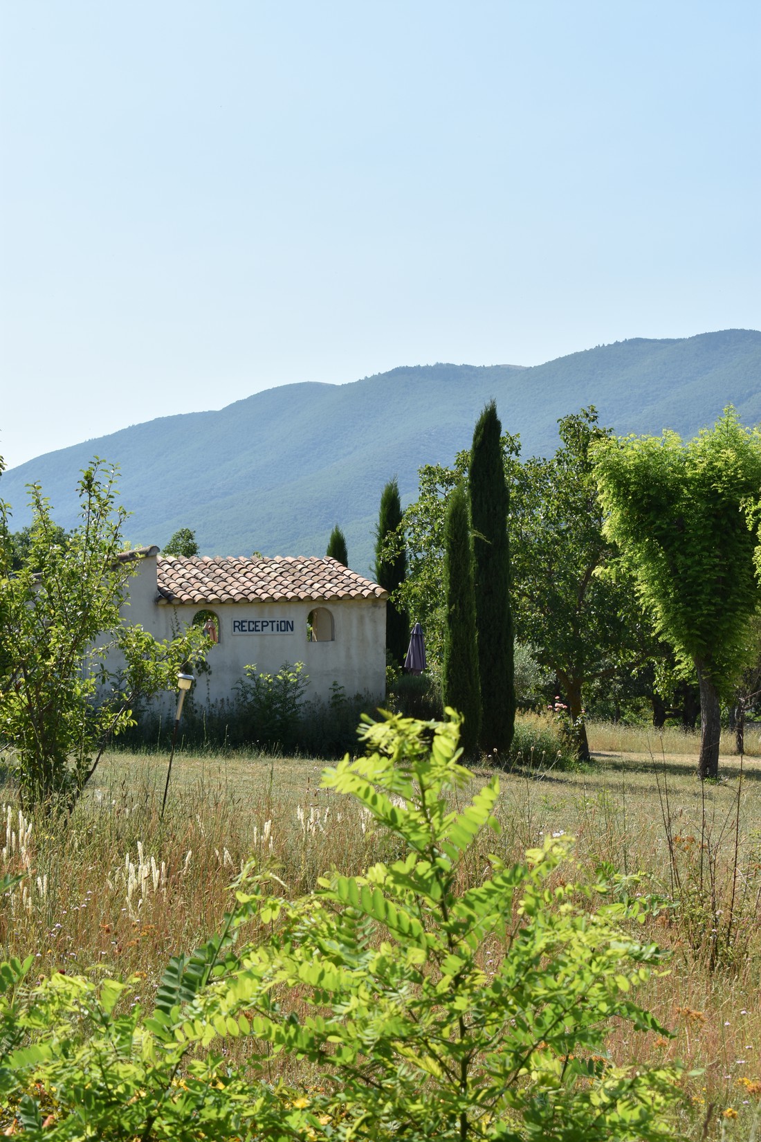 Les Joncquiers photo 2