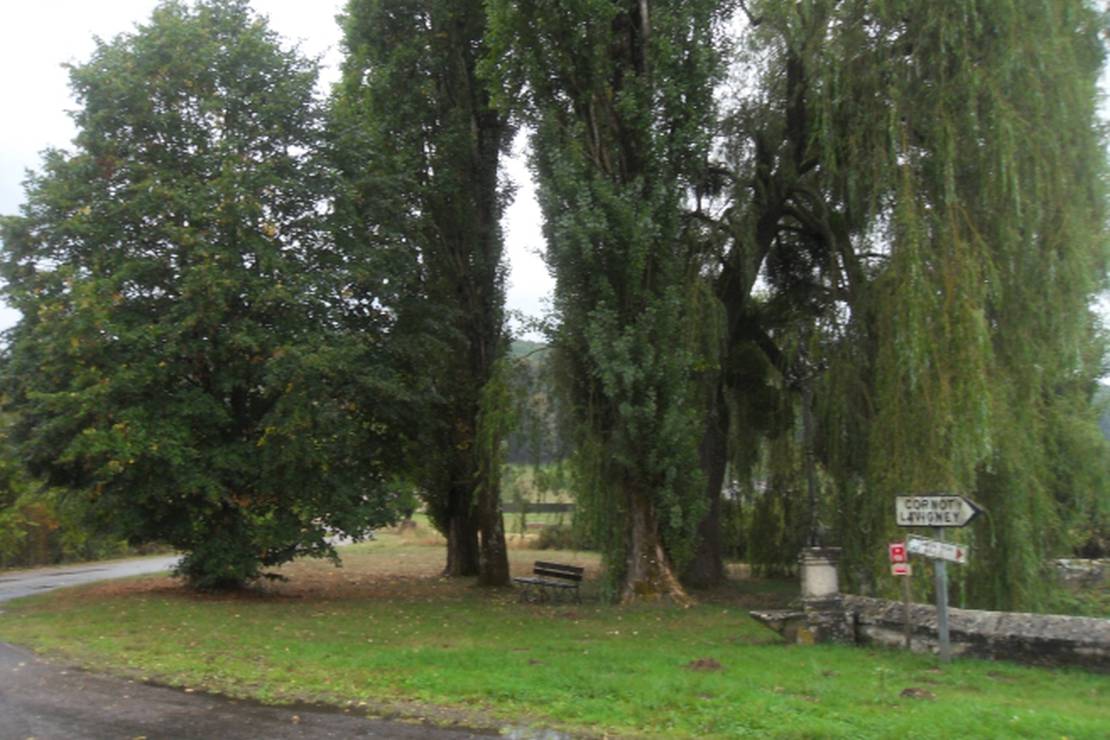Camping Paysan Le Moulin photo 5