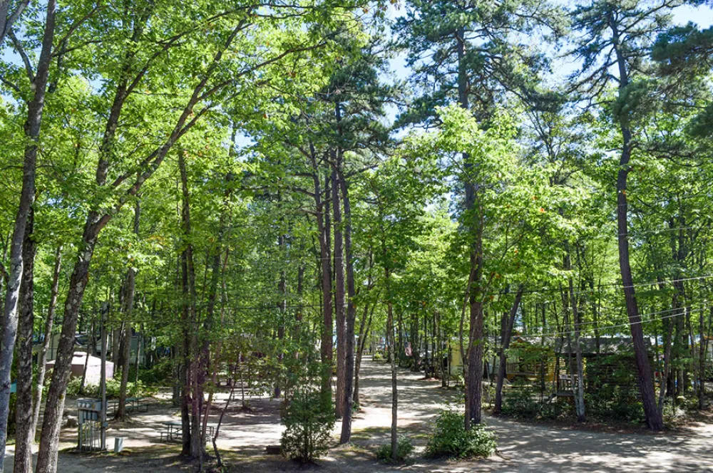 Westward Shores Cottages & RV Resort