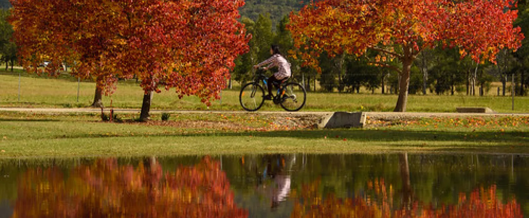 McNamara Park Campground