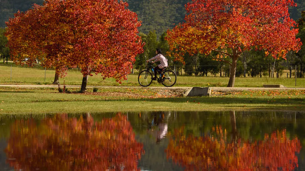 McNamara Park Campground