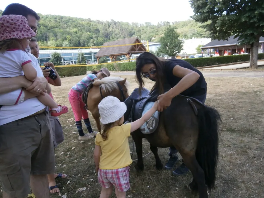 Municipal les Treilles