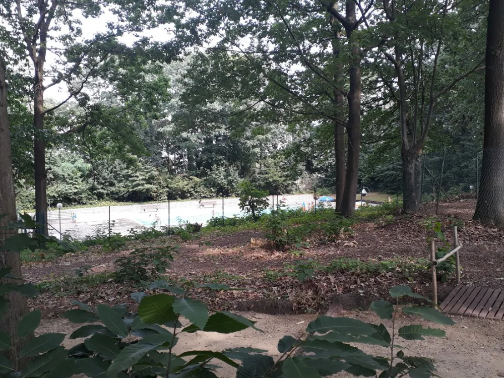 Athena Helios Naturisme