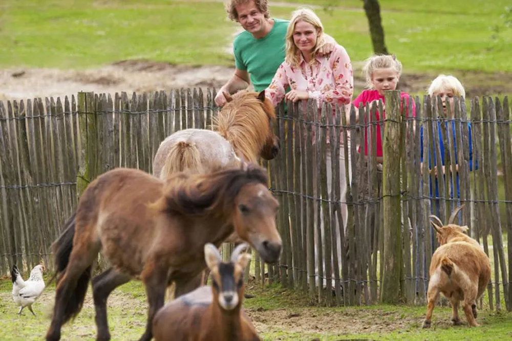 Libéma Vakantiepark Dierenbos