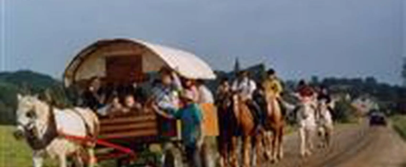 Auberge Du Petit Cheval Blanc
